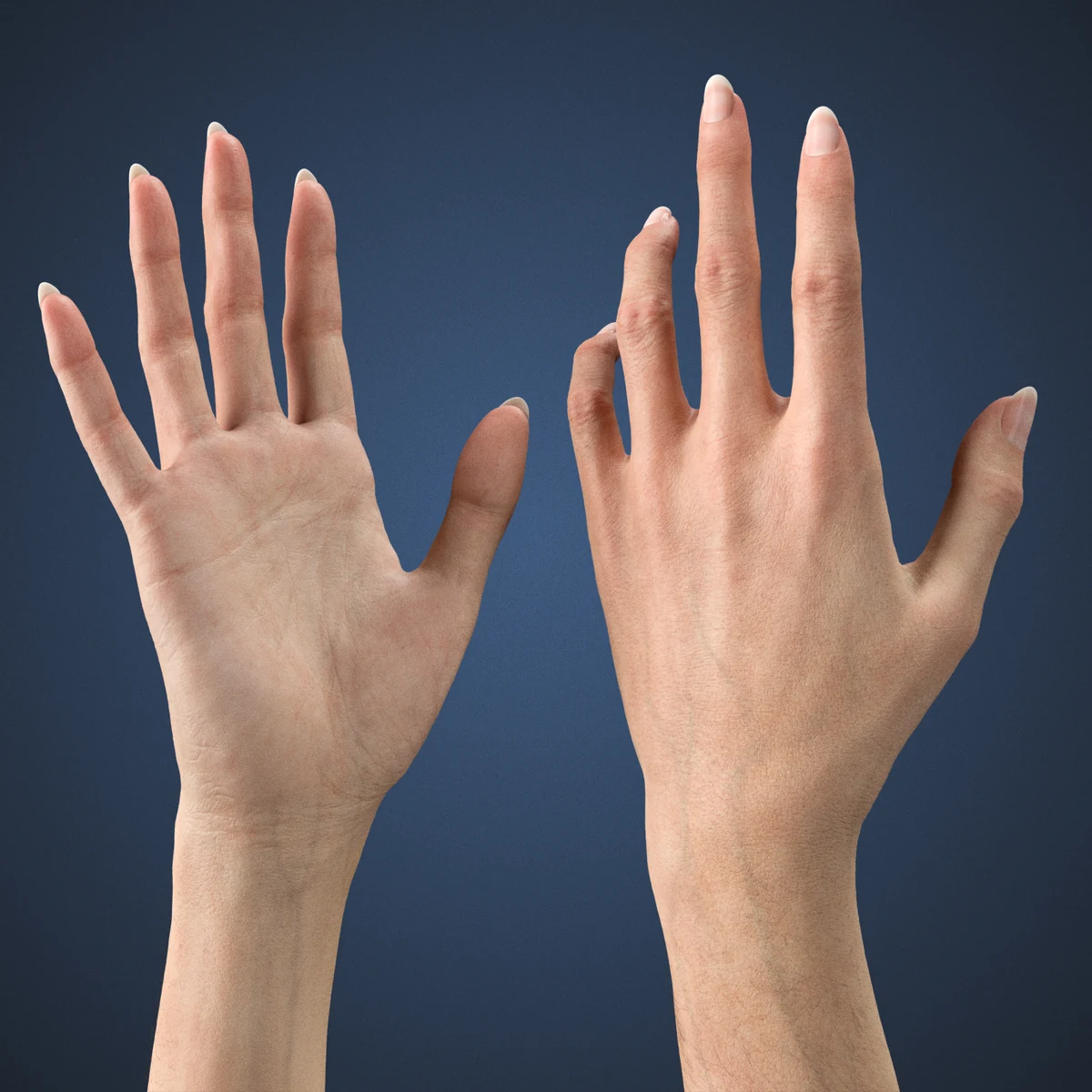 OMNIA Realistic Female Arm 3D Rig Cinematic Edition for Blender