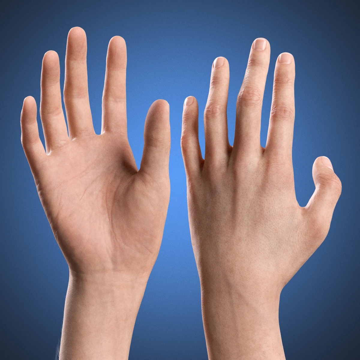 V-ARM 05 Realistic Neutral Hands and Arms Blender Rig